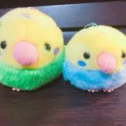2本セット】FRUITS ZIPPER OFFICIAL FAN LIGHT - メルカリ