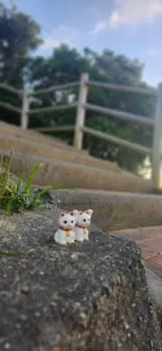 ( ᐛ )の画像