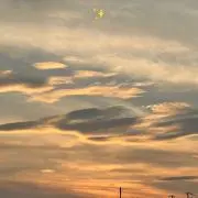 なた