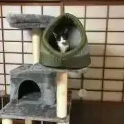 こてっち（プロフ一読お願いします）の画像