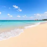 ttの画像