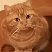 しゅうじ