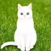 CHELSEA★プロフ見てね★