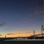 だにえるの画像