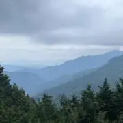 ぴかりの画像