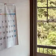 Nekonohitoฅ^•ω•^ฅ