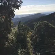 ともの画像