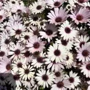 ルンルン★の画像