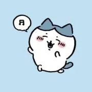 ☆おれんじいんこ☆の画像