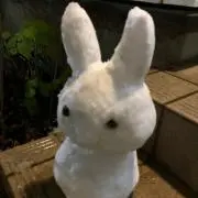 Snowの画像