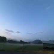 とまと