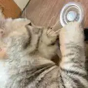 miiiiiの画像