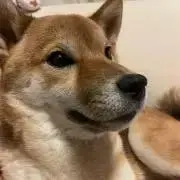ほっぺの画像