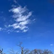 ととの画像