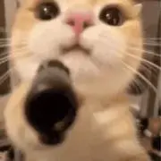 お寿司でおすしの画像