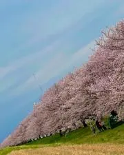 ルカ