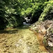 山沢の画像