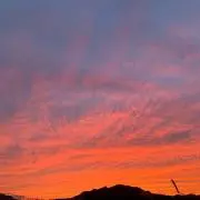 しばおのすけ