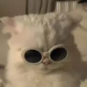onuの画像