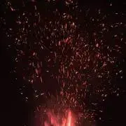 ろっしー
