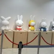 みっふぃーの画像