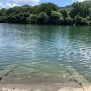 空五倍子色のサイレンの画像