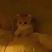 お値下げ交渉◎\(( °ω° ))/の画像