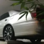 RAB