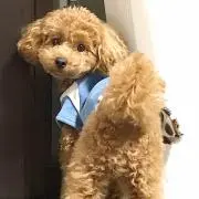 もじりん