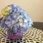 Maaの画像