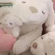 suzuの画像
