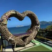 EMの画像