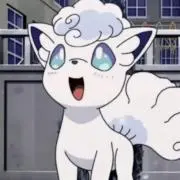 しろわんこの画像