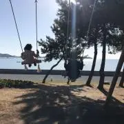 もこ