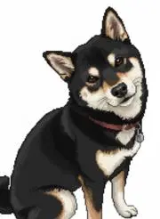 Kの画像