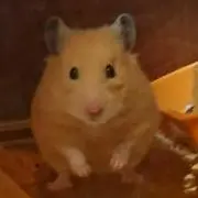 かずちーの画像
