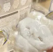 ねむの画像