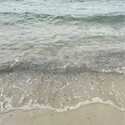 ちひろの画像