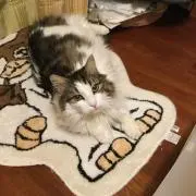 nanaの画像