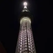 ゆまの画像