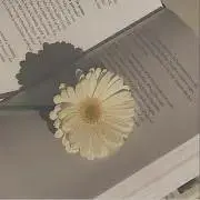 まるの画像
