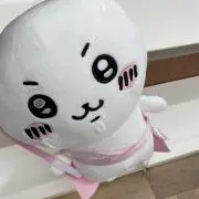 ぬいの画像