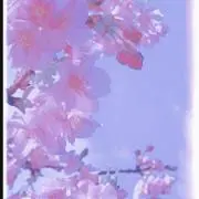 芽來の画像
