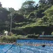 ふくこの画像
