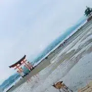 ik【プロフ必読】