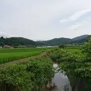 つなが