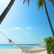 PO