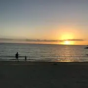 Sonojiroの画像