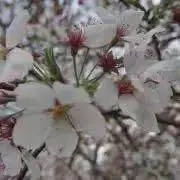 即購入OK❤︎にこの画像