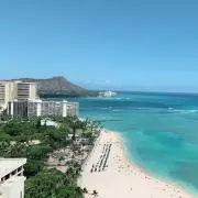 shoの画像